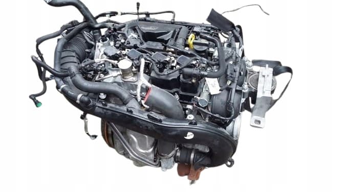 Moteur M9MD pour Ford Kuga