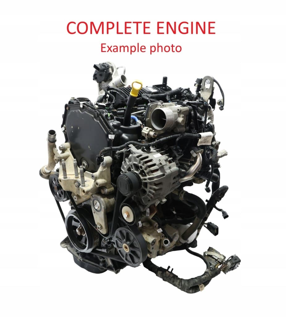 Moteur YNR6 pour Ford Transit