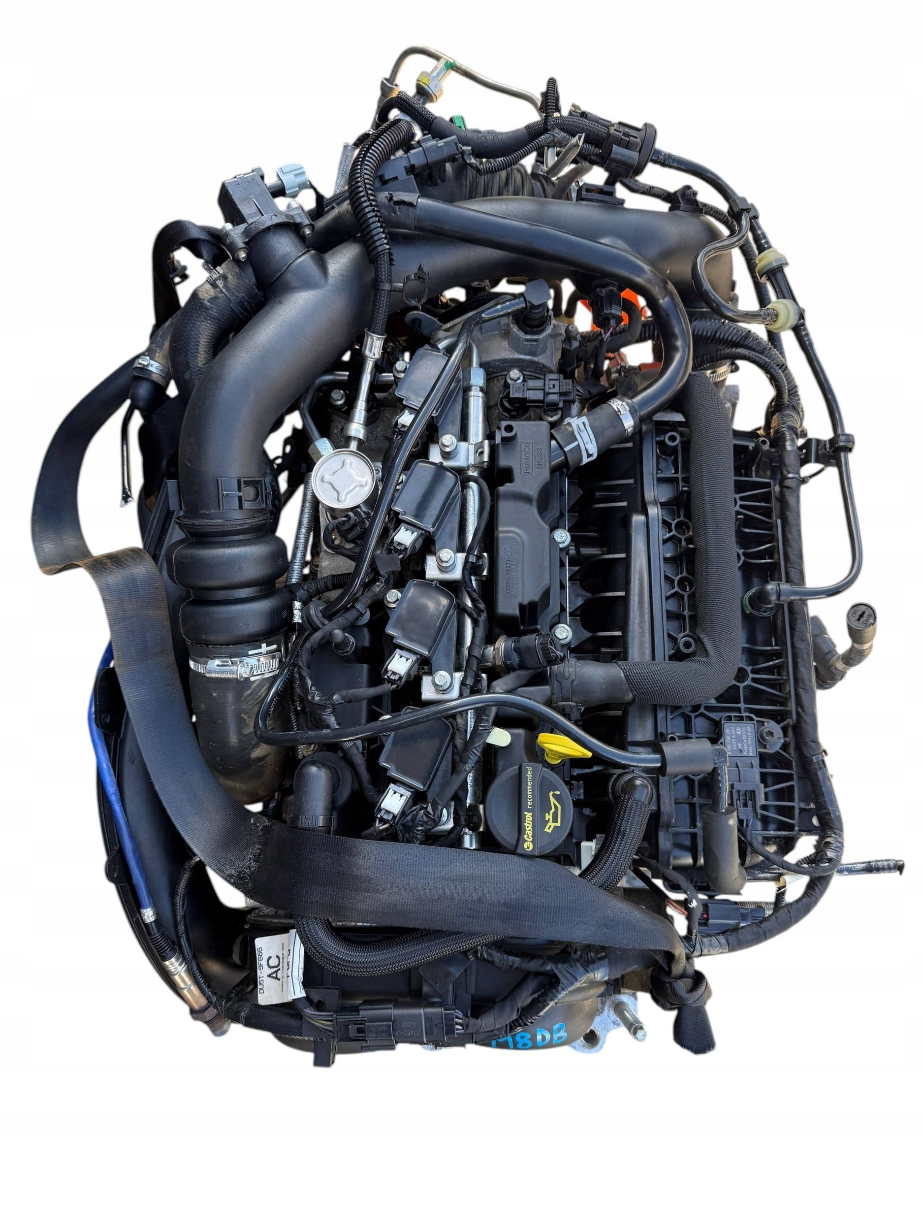 Moteur M8DB pour Ford C-max